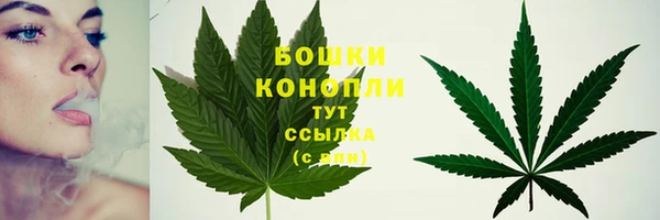 PSILOCYBIN Арсеньев