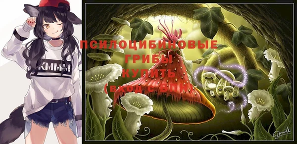 PSILOCYBIN Арсеньев